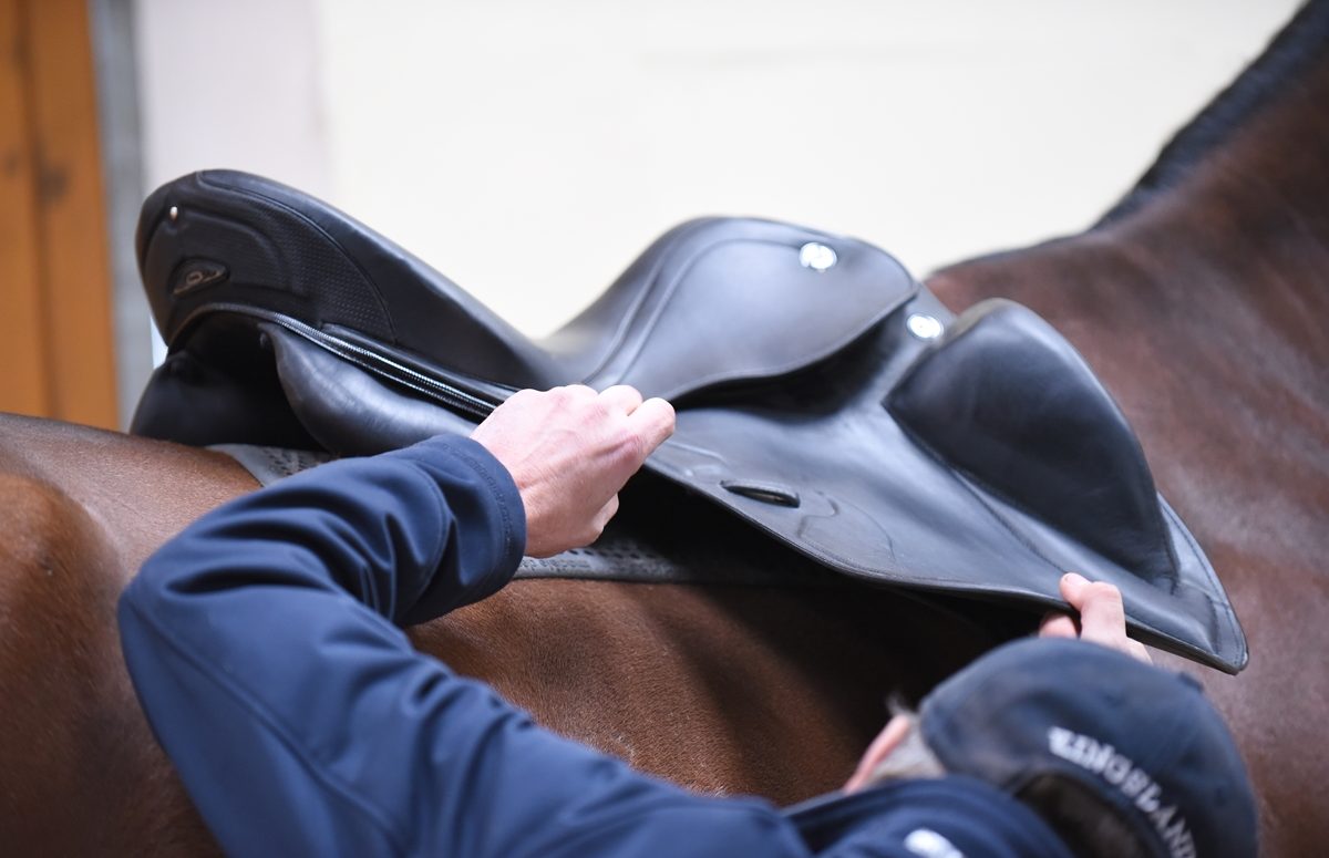 How to Measure a Saddle