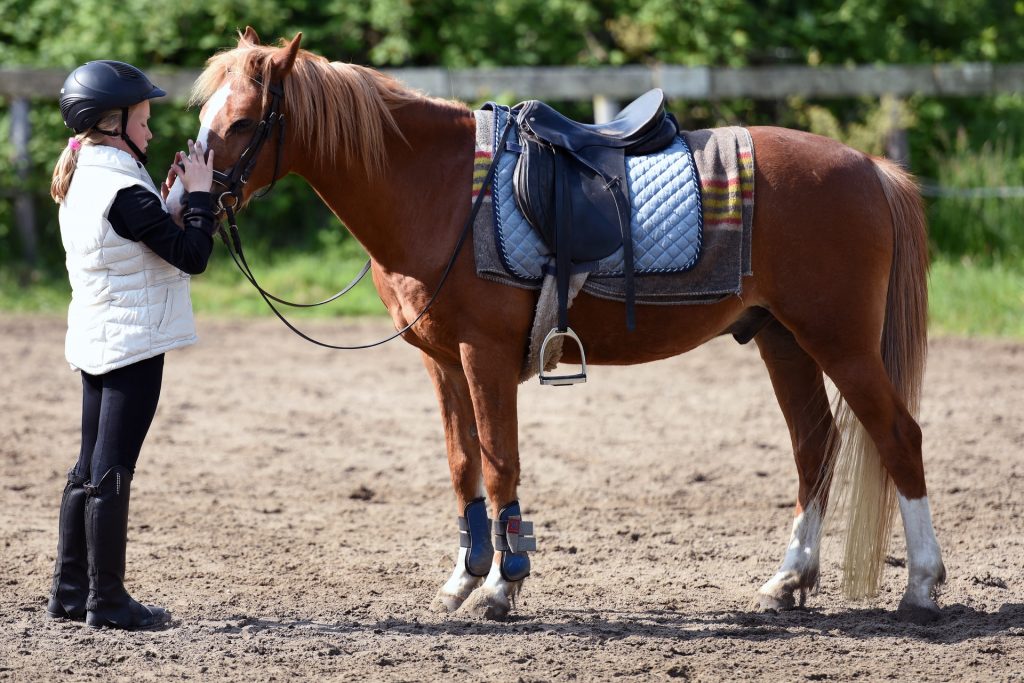 Dressage saddle on a dressage saddle pad